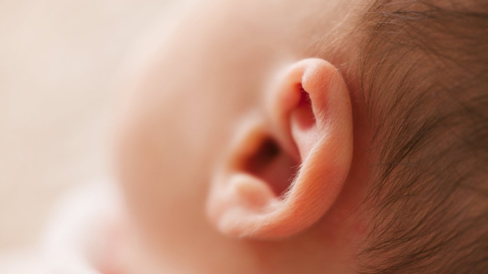 Auriculoterapia Francesa, o que é?