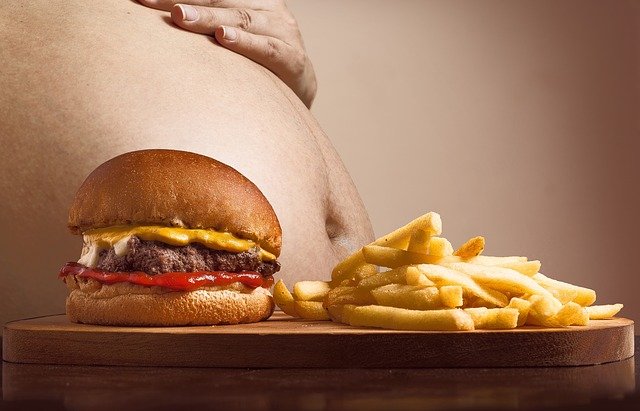 Obesidade na Visão da MTC