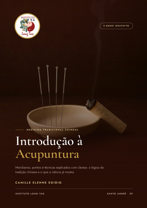 Capa do e-book Introdução à Acupuntura, de Camille Elenne Egidio